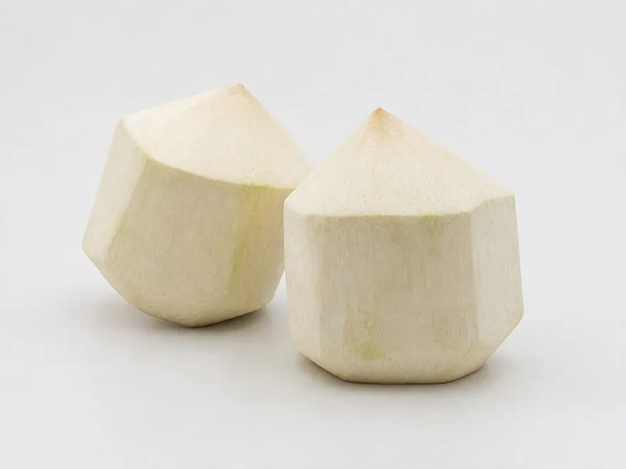Coconut export product sample